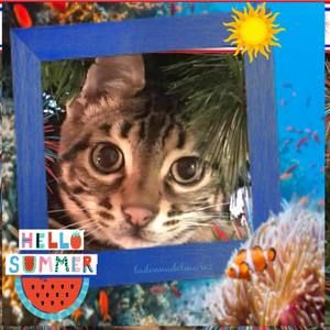 Meet your Posher, Barb